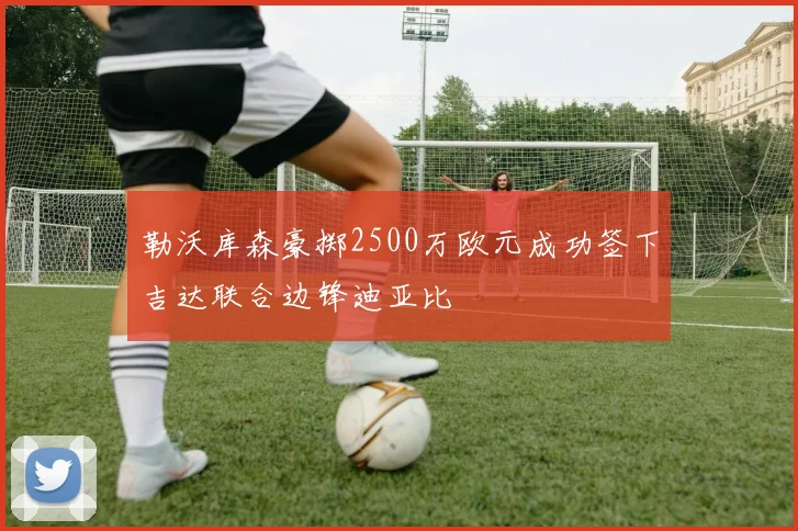 勒沃库森豪掷2500万欧元成功签下吉达联合边锋迪亚比
