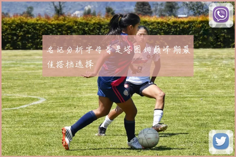 名记分析字母哥是塔图姆巅峰期最佳搭档选择