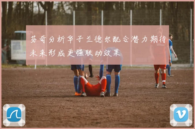 芬奇分析华子兰德尔配合潜力期待未来形成更强联动效果