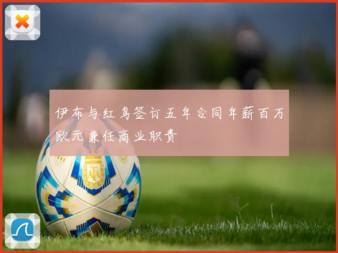 伊布与红鸟签订五年合同年薪百万欧元兼任商业职责